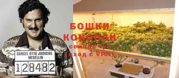 хмурый Липки