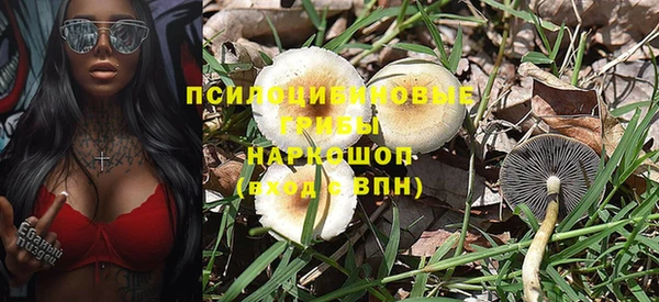 хмурый Липки