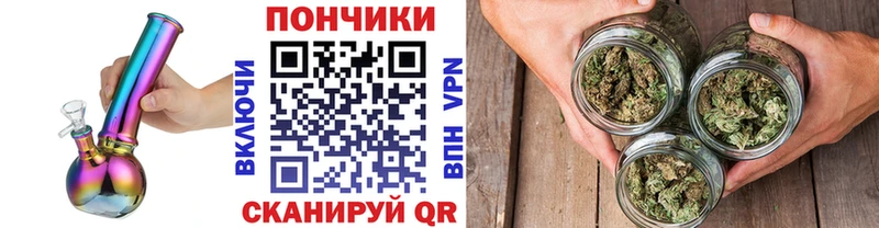 Бошки Шишки OG Kush  продажа наркотиков  Холм 